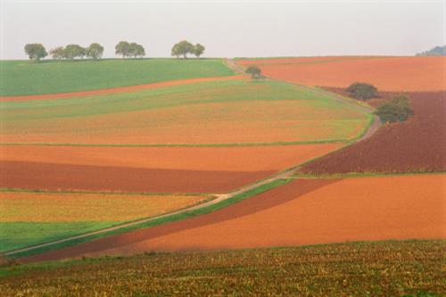 agriculture fall weather update october