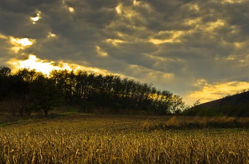 november farm weather update